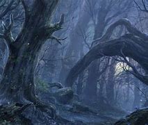 Image result for Gothic Forest