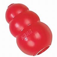 Image result for Kong Floating Dog Toys