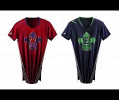 Image result for Notre Dame Jersey