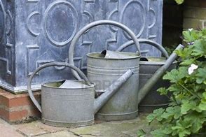 Image result for English Country Garden Watering Can