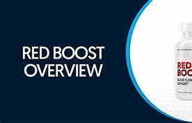 Image result for Red Boost Logo