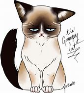 Image result for Grouchy Cat Meme