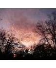 Image result for Red Sky with Storm Background