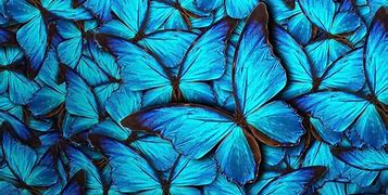 Image result for Cute Blue Wallpapers
