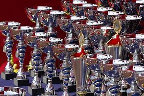 Image result for Famous Trophies and Awards
