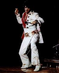 Image result for Elvis Presley Real Photos in Concert