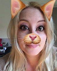 Image result for Cats with Snapchat Filters On
