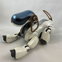 Image result for Aibo Accessories