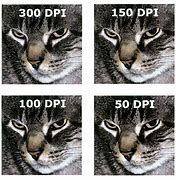 Image result for 99Dpi Printin Person