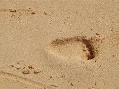 Image result for Baby Footprints Sand