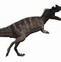 Image result for Ceratosaurus Skeleton