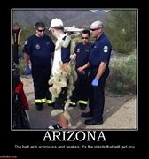 Image result for Arizona Humor