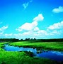 Image result for Best Nature Theme