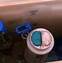 Image result for Blue Water Toilet Flush