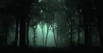 Image result for 1080 Dark Forest Wallpaper