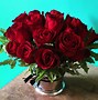 Image result for Beautiful Red Colorful Roses