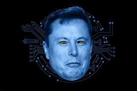 Image result for Elon Musk Partner