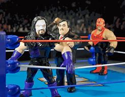 Image result for WWE Legends Action Figures