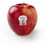 Image result for Envy Fruit