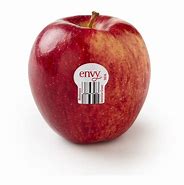 Image result for What Are Envy Apple's