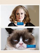 Image result for Blue Cat Meme