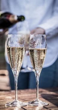 Image result for Champagne Cocktail