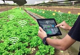 Image result for Smart Agriculture Solutions