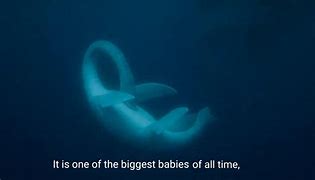 Image result for World Largest Baby