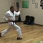 Image result for Forms of Karate