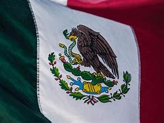 Image result for Vector Mexico Grunge Flag
