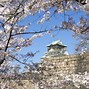 Image result for Osaka Sakura Season