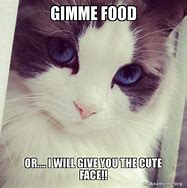 Image result for Gimme Food Meme