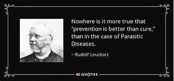 Image result for True Prevention Quote