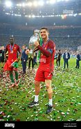 Image result for 2016 Euro Cup