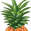 Image result for Pineapple Graphic