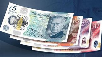 Image result for What Does a British Pound Look Like