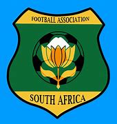 Image result for Local Government in South Africa