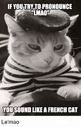 Image result for Lmao French Cat