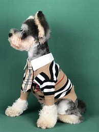 Image result for Burberry Pet Accessories