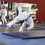 Image result for Olympic Judo Throws