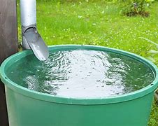 Image result for Rain Water Bucket