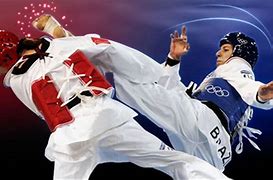 Image result for Taekwondo Fight