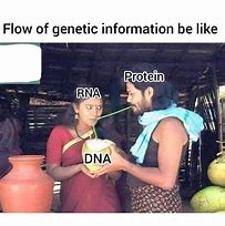 Image result for Genetics Meme Mug