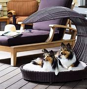 Image result for Outdoor Pet Bed