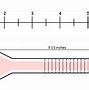 Image result for Large Ring Size Chart for Men