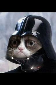 Image result for Star Wars Meme Grumpy Cat