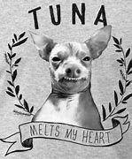 Image result for Tuna Dog Meme