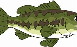 Image result for Big Bass Fish Clip Art