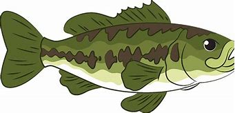 Image result for Free Largemouth Bass Fish Clip Art