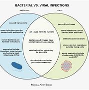Image result for Viral Infection vs Bacterial Infection